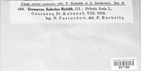 Image Associated With the Occurrence